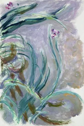 Irys, 1924-25